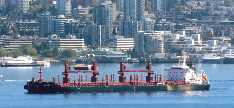 HOIHOW Bulk Carrier IMO 9714238 photo 8