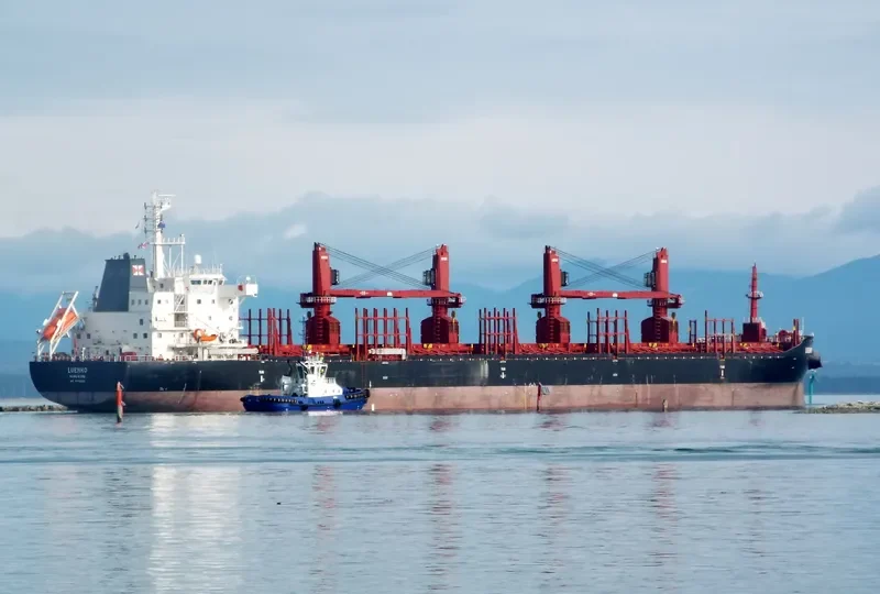 LUENHO Bulk Carrier IMO 9715220 photo 2