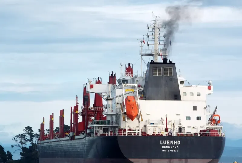 LUENHO Bulk Carrier IMO 9715220 photo 3