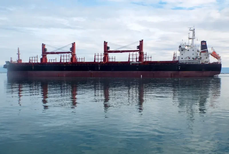 LUENHO Bulk Carrier IMO 9715220 photo 4
