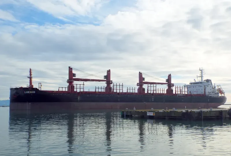 LUENHO Bulk Carrier IMO 9715220 photo 5