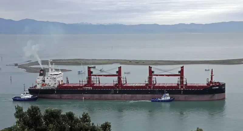 LUENHO Bulk Carrier IMO 9715220 photo 8