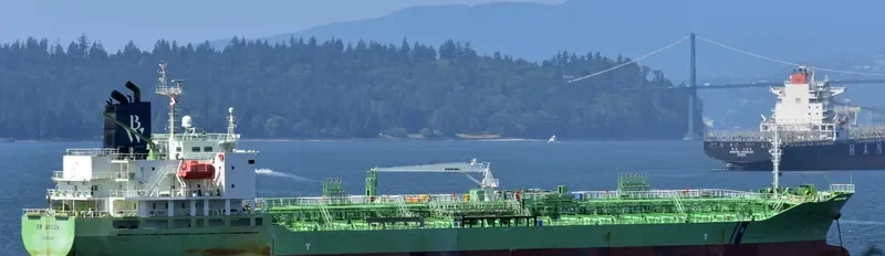 CHEM ARGON Tanker IMO 9716004 photo 8