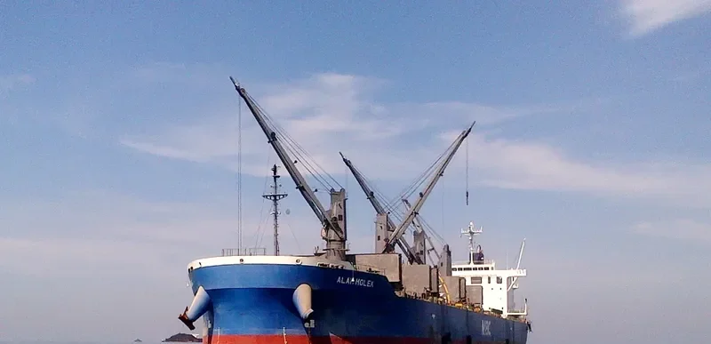 ALAM MOLEK Bulk Carrier IMO 9717072