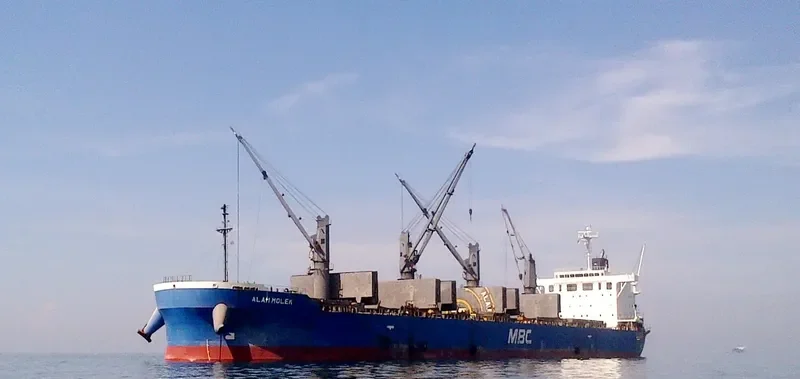 ALAM MOLEK Bulk Carrier IMO 9717072 photo 3