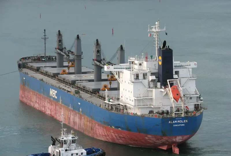 ALAM MOLEK Bulk Carrier IMO 9717072 photo 4