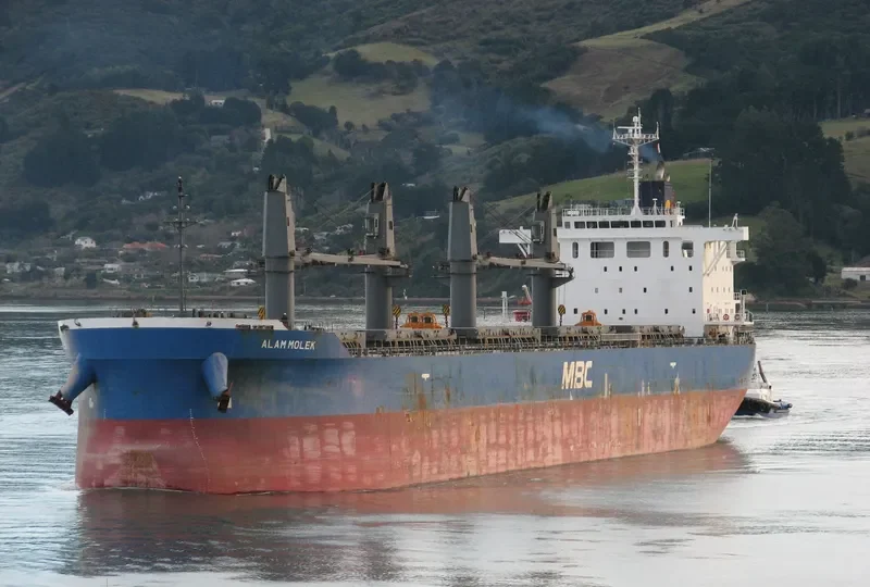 ALAM MOLEK Bulk Carrier IMO 9717072 photo 6