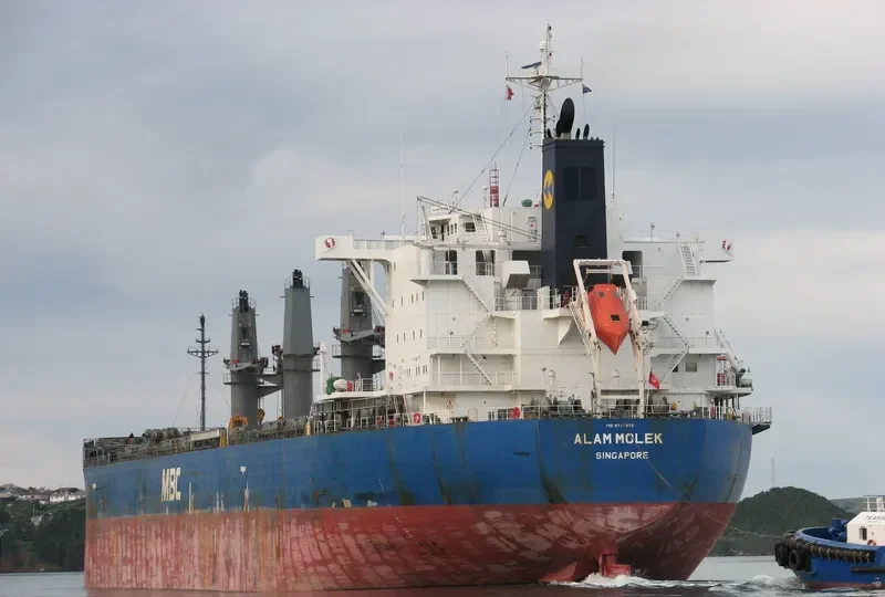 ALAM MOLEK Bulk Carrier IMO 9717072 photo 7
