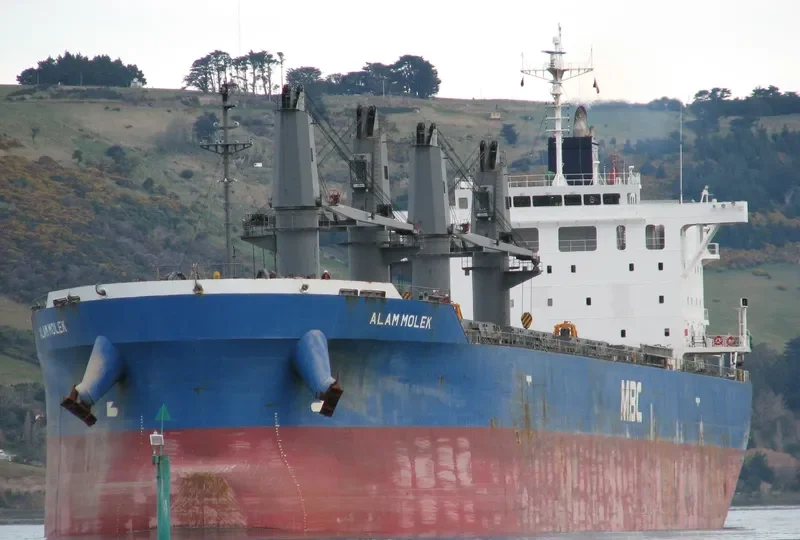 ALAM MOLEK Bulk Carrier IMO 9717072 photo 8