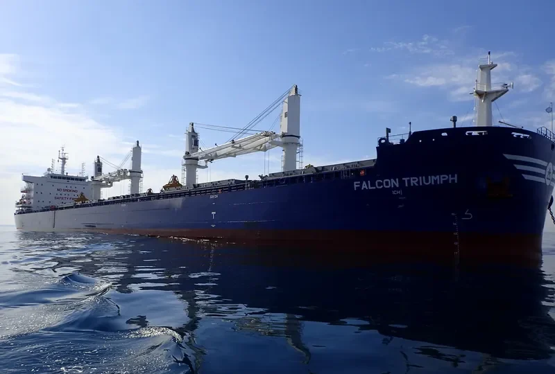 FALCON TRIUMPH Bulk Carrier IMO 9717589 photo 2