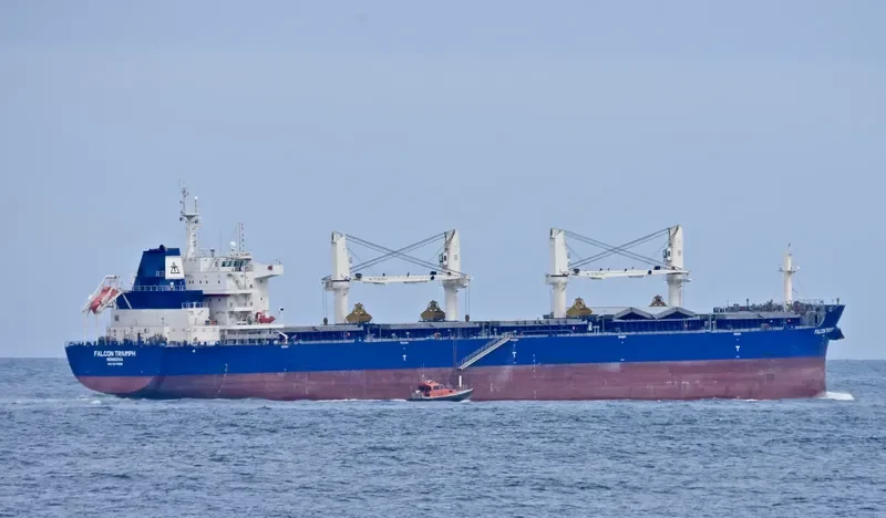 FALCON TRIUMPH Bulk Carrier IMO 9717589 photo 6