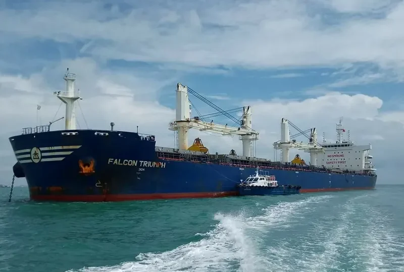 FALCON TRIUMPH Bulk Carrier IMO 9717589 photo 10