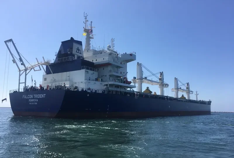 FALCON TRIDENT Bulk Carrier IMO 9717591
