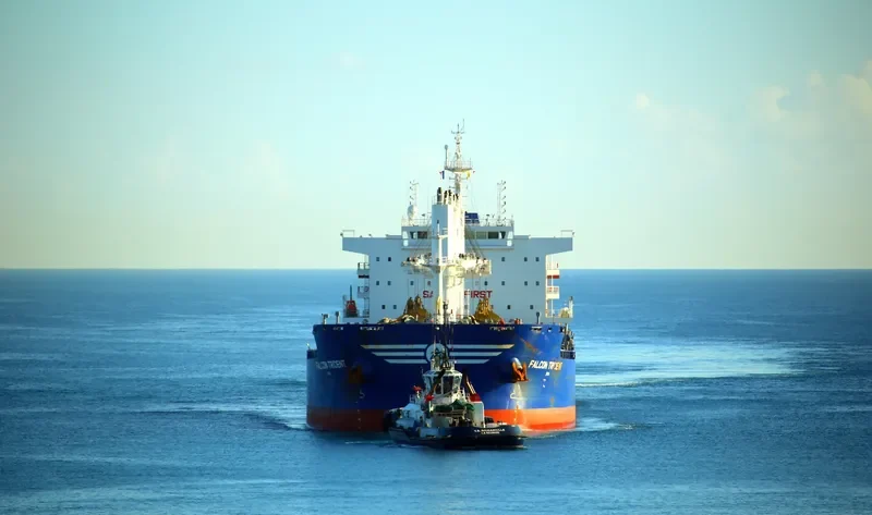 FALCON TRIDENT Bulk Carrier IMO 9717591 photo 3