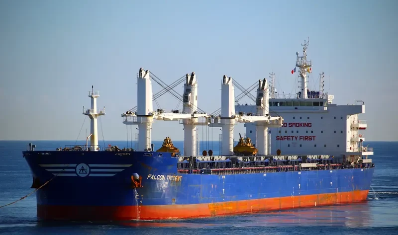 FALCON TRIDENT Bulk Carrier IMO 9717591 photo 4