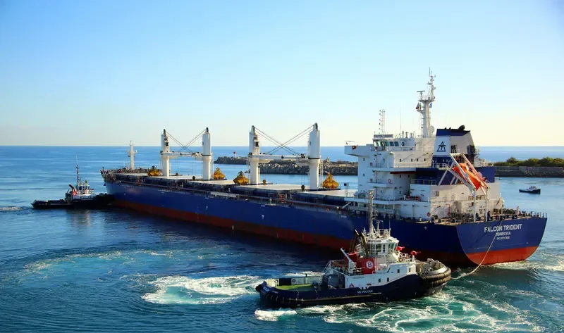 FALCON TRIDENT Bulk Carrier IMO 9717591 photo 6