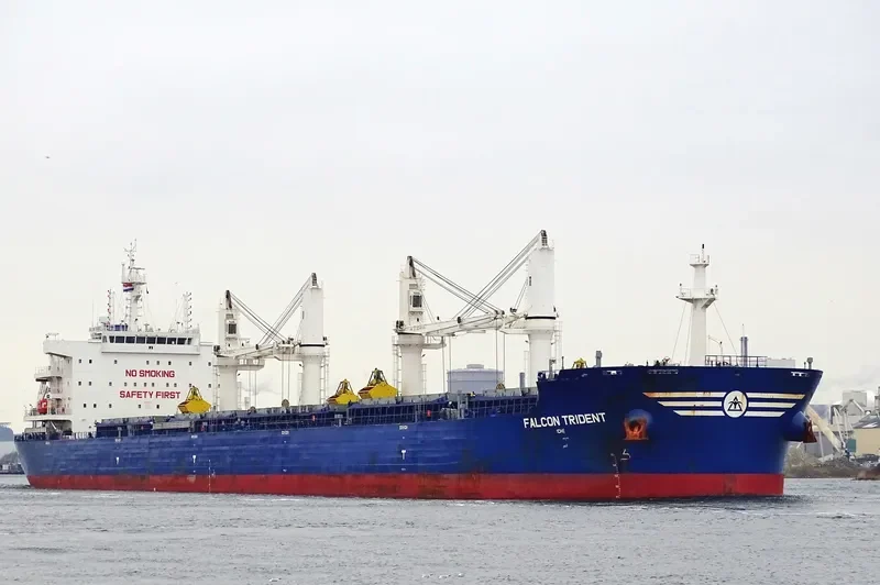 FALCON TRIDENT Bulk Carrier IMO 9717591 photo 7