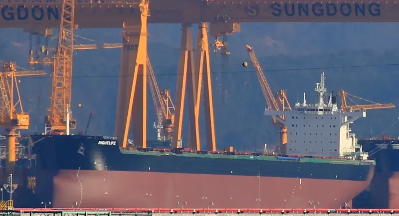 NIGHTLIFE Bulk Carrier IMO 9717632