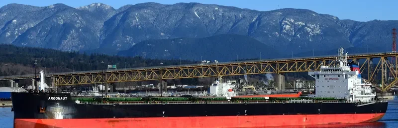 ARGONAUT Bulk Carrier IMO 9717694 photo 2
