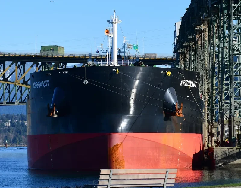 ARGONAUT Bulk Carrier IMO 9717694 photo 3