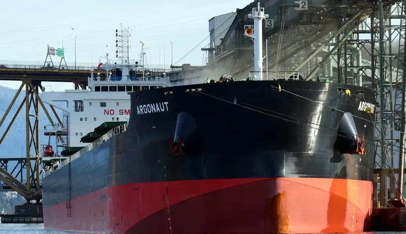 ARGONAUT Bulk Carrier IMO 9717694 photo 4