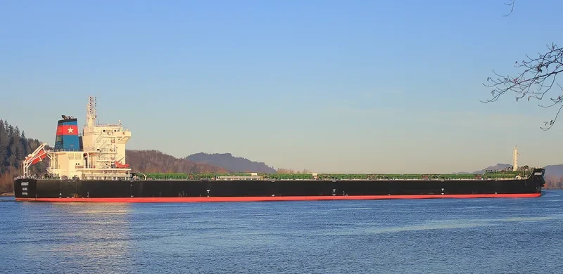 ARGONAUT Bulk Carrier IMO 9717694 photo 9