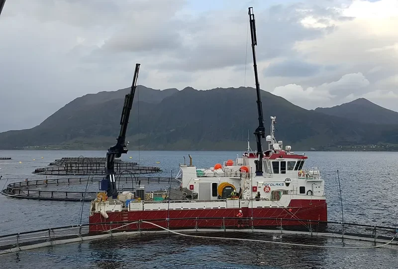 ARTHUR EILERTSEN General Cargo IMO 9718662