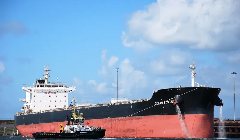 ARSINOE Bulk Carrier IMO 9718739 photo 2