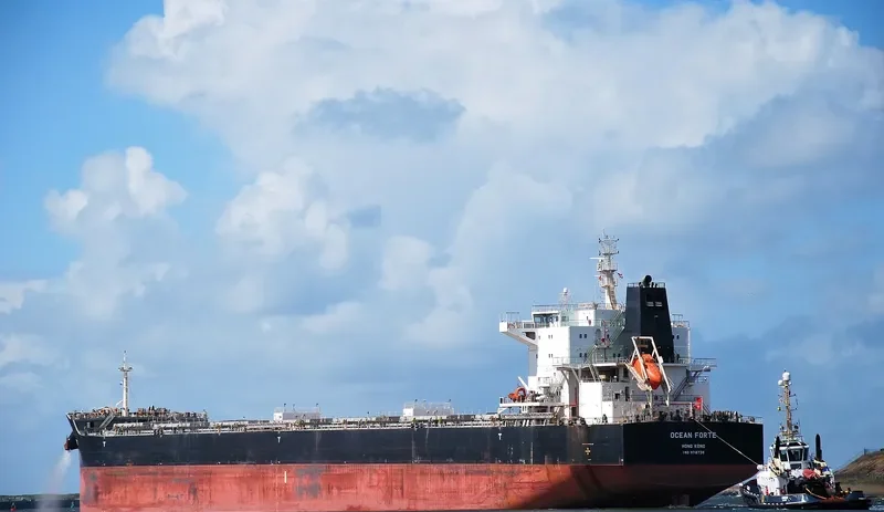 ARSINOE Bulk Carrier IMO 9718739 photo 3