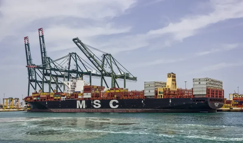 MSC SILVIA Container Ship IMO 9720457 photo 4