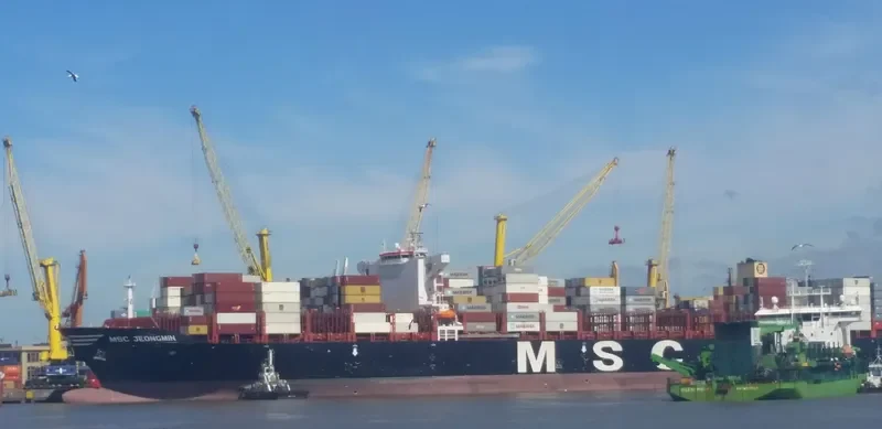 MSC JEONGMIN Container Ship IMO 9720471 photo 8