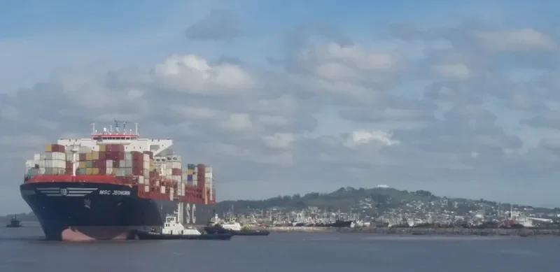 MSC JEONGMIN Container Ship IMO 9720471 photo 9