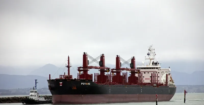 POYANG Bulk Carrier IMO 9721580 photo 4
