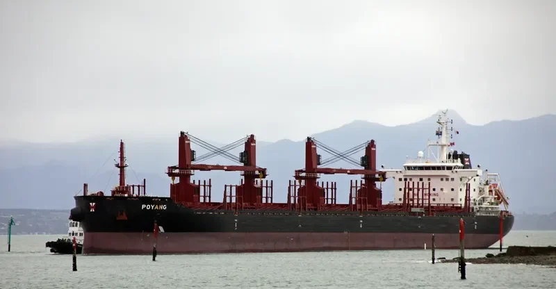 POYANG Bulk Carrier IMO 9721580 photo 5