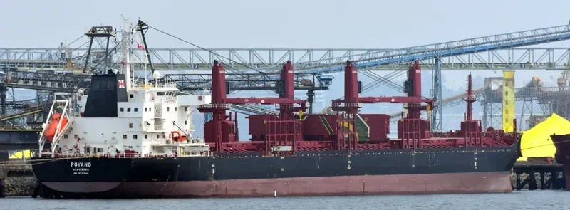 POYANG Bulk Carrier IMO 9721580 photo 8