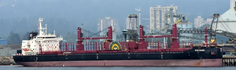 POYANG Bulk Carrier IMO 9721580 photo 9