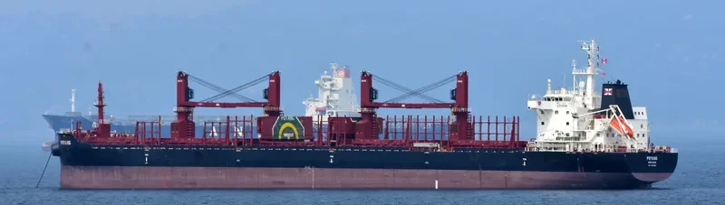 POYANG Bulk Carrier IMO 9721580 photo 10