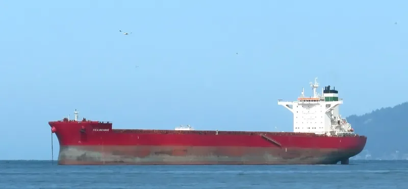 GOLDEN BEHIKE Bulk Carrier IMO 9722417 photo 3