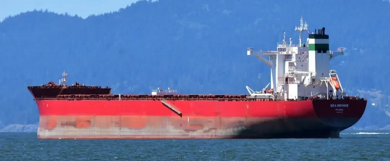 GOLDEN BEHIKE Bulk Carrier IMO 9722417 photo 6