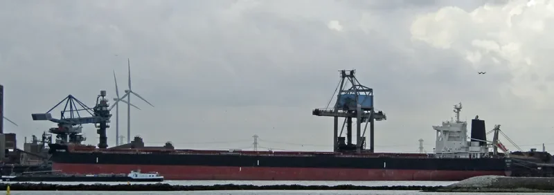 TRUE COMPASS Bulk Carrier IMO 9723174