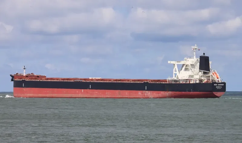 TRUE COMPASS Bulk Carrier IMO 9723174 photo 2