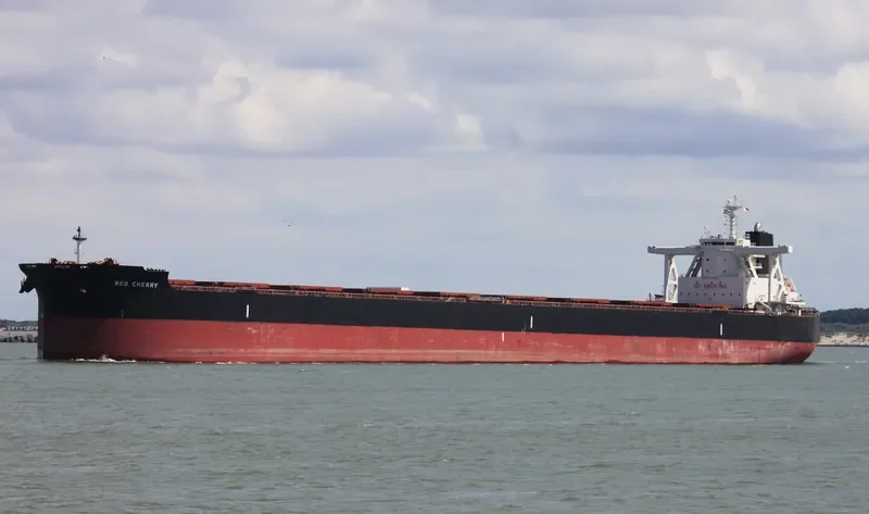 TRUE COMPASS Bulk Carrier IMO 9723174 photo 3