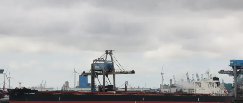 TRUE COMPASS Bulk Carrier IMO 9723174 photo 4