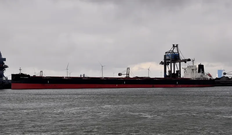 TRUE COMPASS Bulk Carrier IMO 9723174 photo 6