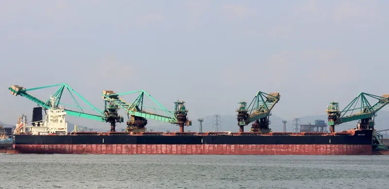 RED SAGE Bulk Carrier IMO 9723186 photo 2