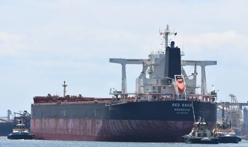 RED SAGE Bulk Carrier IMO 9723186 photo 3