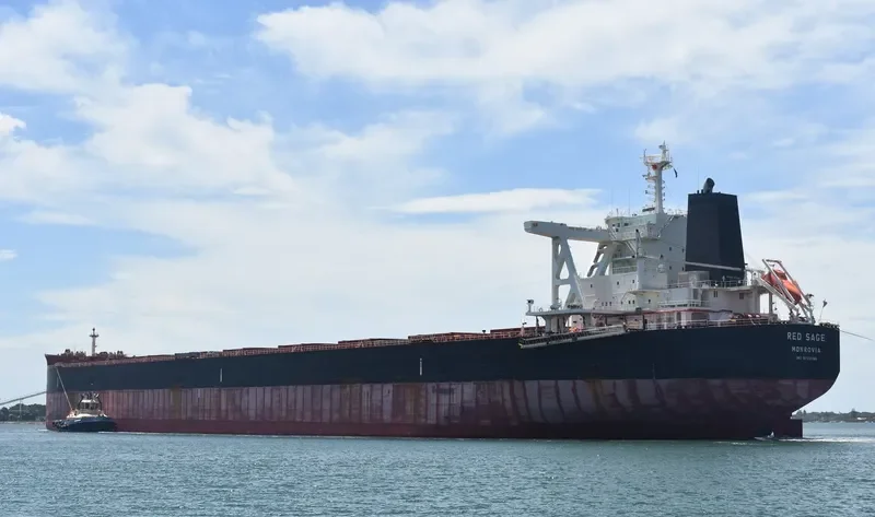 RED SAGE Bulk Carrier IMO 9723186 photo 4