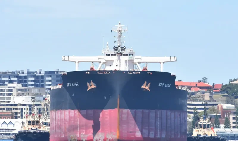 RED SAGE Bulk Carrier IMO 9723186 photo 6