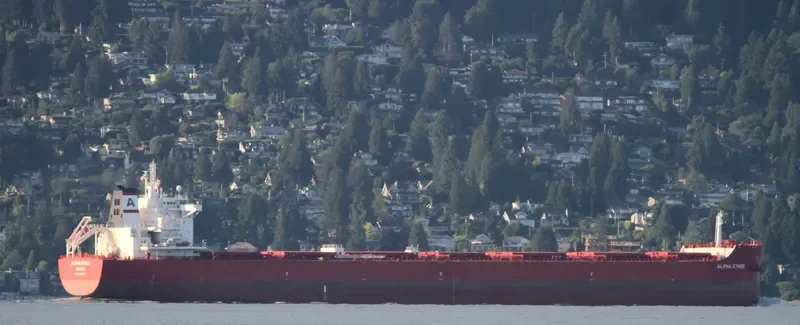 ALPHA ETHOS Bulk Carrier IMO 9723617 photo 3