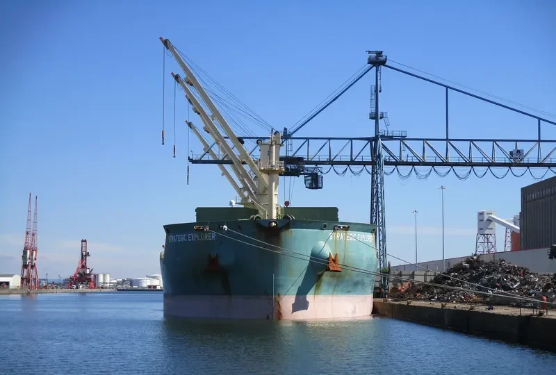 STRATEGIC EXPLORER Bulk Carrier IMO 9723708 photo 2